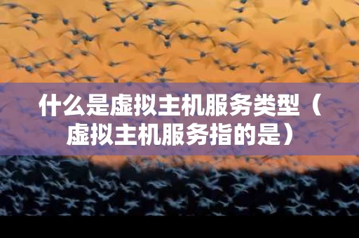 什么是虚拟主机服务类型（虚拟主机服务指的是）