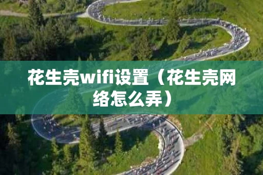 花生壳wifi设置（花生壳网络怎么弄）