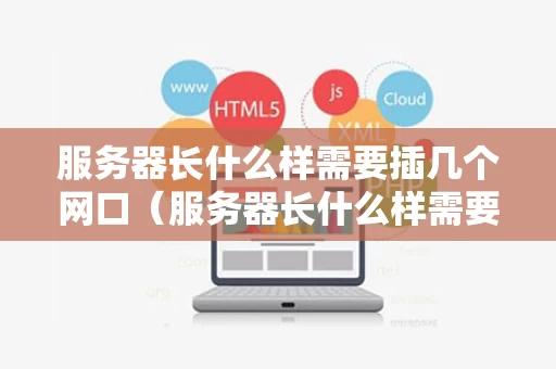 服务器长什么样需要插几个网口（服务器长什么样需要插几个网口才能用）
