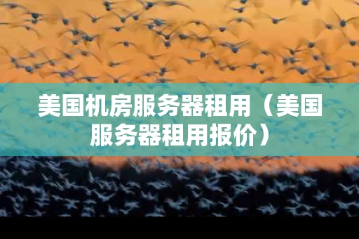 美国机房服务器租用（美国服务器租用报价）