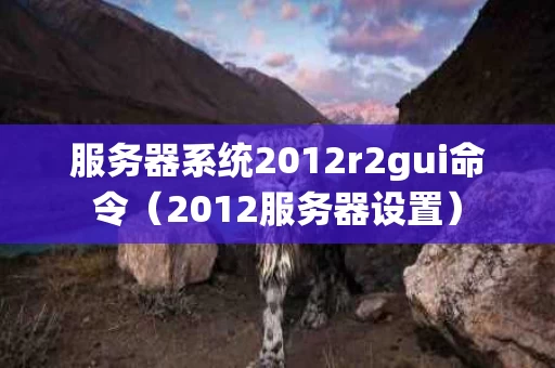 服务器系统2012r2gui命令（2012服务器设置）
