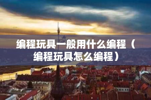 编程玩具一般用什么编程（编程玩具怎么编程）