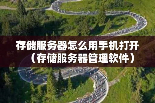 存储服务器怎么用手机打开（存储服务器管理软件）