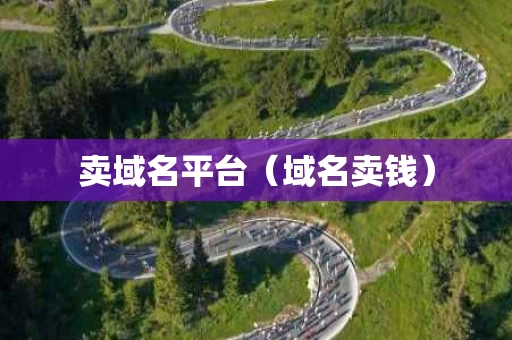 卖域名平台（域名卖钱）