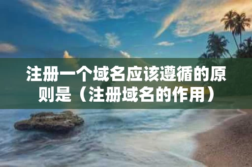 注册一个域名应该遵循的原则是（注册域名的作用）