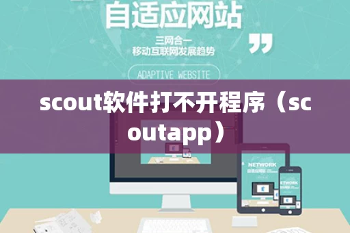 scout软件打不开程序（scoutapp）