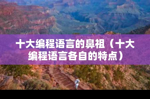 十大编程语言的鼻祖（十大编程语言各自的特点）