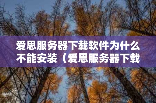 爱思服务器下载软件为什么不能安装（爱思服务器下载软件为什么不能安装软件）