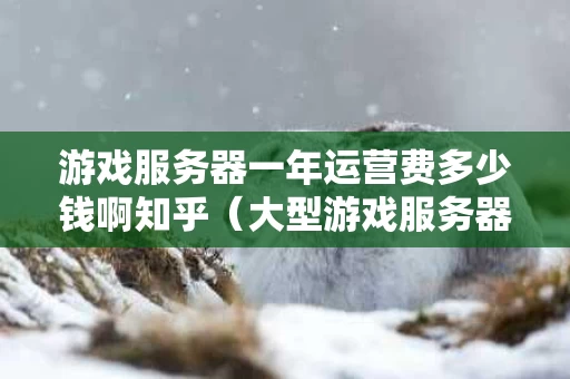 游戏服务器一年运营费多少钱啊知乎（大型游戏服务器多少钱一个月）