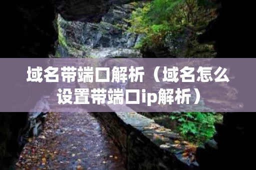 域名带端口解析（域名怎么设置带端口ip解析）