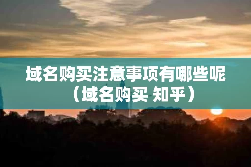 域名购买注意事项有哪些呢（域名购买 知乎）