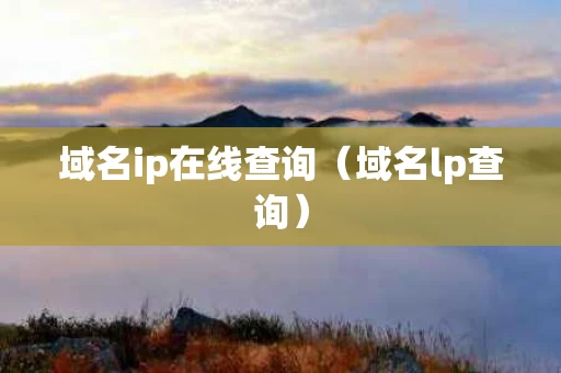 域名ip在线查询（域名lp查询）