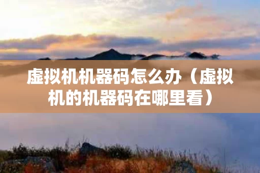虚拟机机器码怎么办（虚拟机的机器码在哪里看）