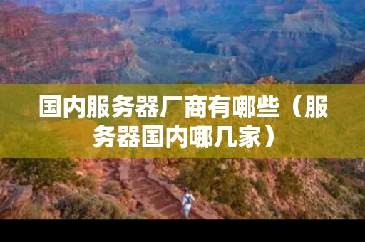 国内服务器厂商有哪些（服务器国内哪几家）