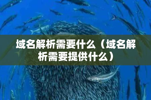 域名解析需要什么（域名解析需要提供什么）
