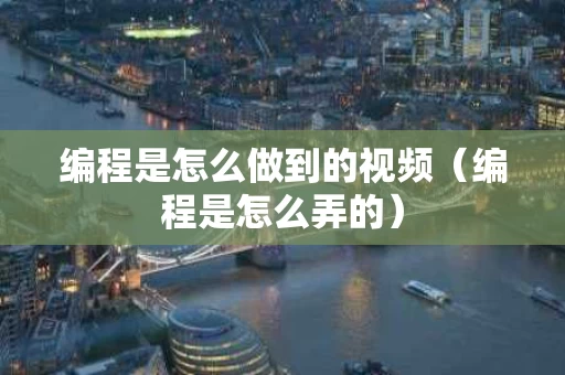 编程是怎么做到的视频（编程是怎么弄的）