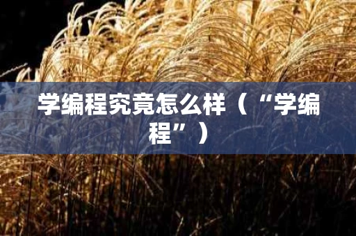 学编程究竟怎么样（“学编程”）