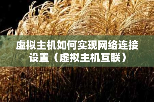 虚拟主机如何实现网络连接设置（虚拟主机互联）