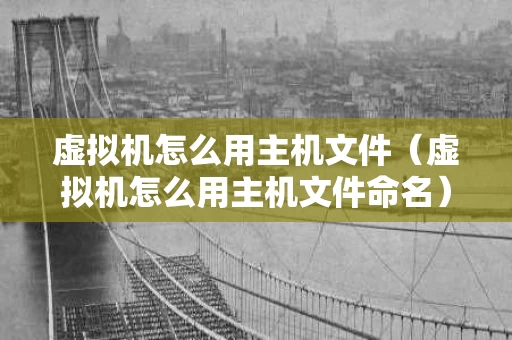 虚拟机怎么用主机文件（虚拟机怎么用主机文件命名）