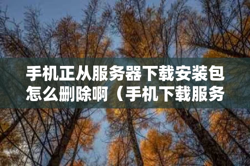 手机正从服务器下载安装包怎么删除啊（手机下载服务器关闭,怎么办）