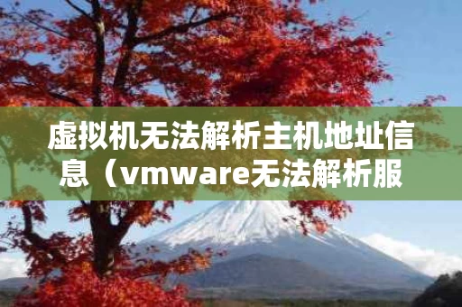 虚拟机无法解析主机地址信息（vmware无法解析服务器地址）