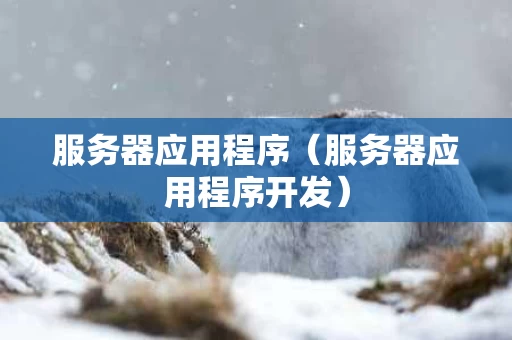 服务器应用程序（服务器应用程序开发）