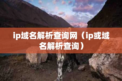 ip域名解析查询网（ip或域名解析查询）