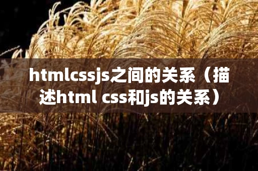 htmlcssjs之间的关系（描述html css和js的关系）