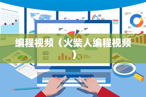 编程视频（火柴人编程视频）