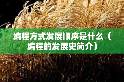 编程方式发展顺序是什么（编程的发展史简介）