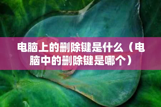 电脑上的删除键是什么（电脑中的删除键是哪个）