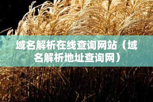 域名解析在线查询网站（域名解析地址查询网）