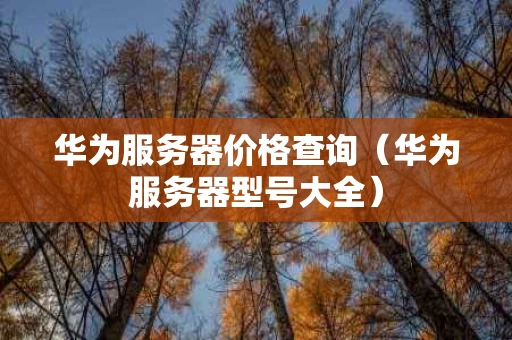 华为服务器价格查询（华为服务器型号大全）
