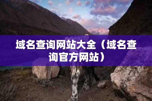 域名查询网站大全（域名查询官方网站）