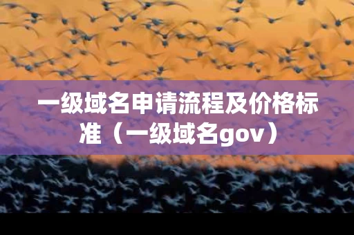 一级域名申请流程及价格标准（一级域名gov）