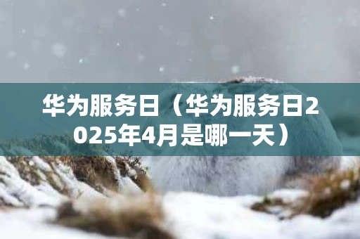 华为服务日（华为服务日2025年4月是哪一天）