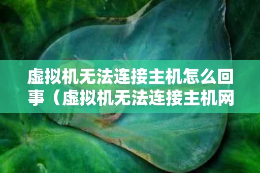 虚拟机无法连接主机怎么回事（虚拟机无法连接主机网络）