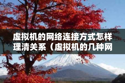虚拟机的网络连接方式怎样理清关系（虚拟机的几种网络连接方式）