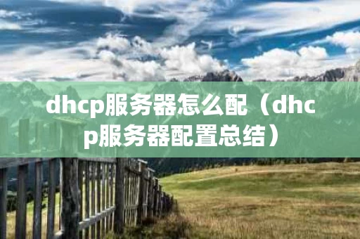 dhcp服务器怎么配（dhcp服务器配置总结）