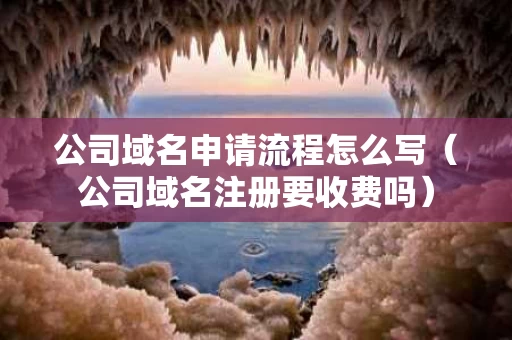 公司域名申请流程怎么写（公司域名注册要收费吗）