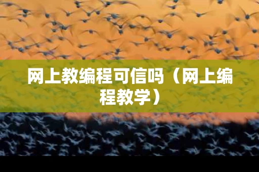 网上教编程可信吗（网上编程教学）