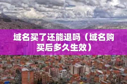 域名买了还能退吗（域名购买后多久生效）