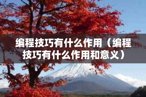 编程技巧有什么作用（编程技巧有什么作用和意义）