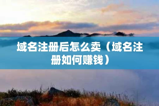 域名注册后怎么卖（域名注册如何赚钱）