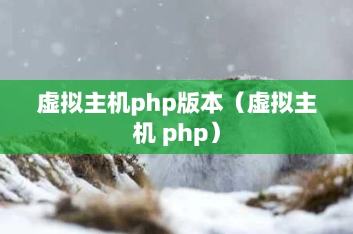 虚拟主机php版本（虚拟主机 php）