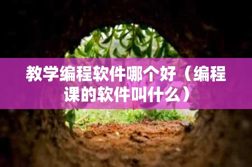 教学编程软件哪个好（编程课的软件叫什么）