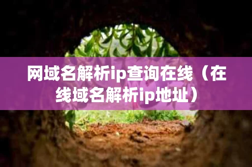 网域名解析ip查询在线（在线域名解析ip地址）