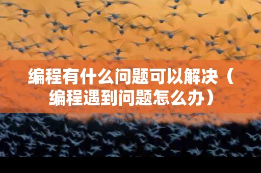 编程有什么问题可以解决（编程遇到问题怎么办）
