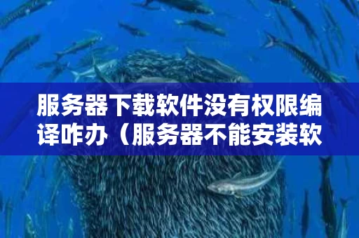 服务器下载软件没有权限编译咋办（服务器不能安装软件）
