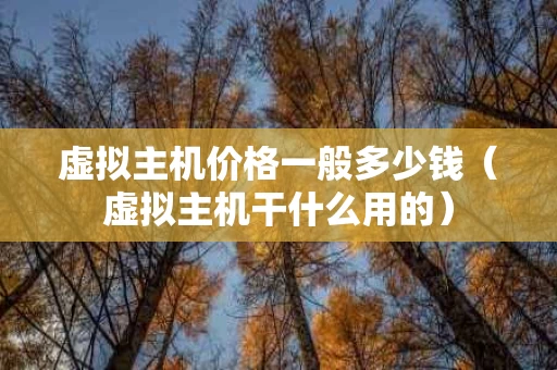 虚拟主机价格一般多少钱（虚拟主机干什么用的）